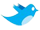 ERF Pop bei Twitter