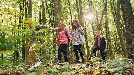 Bild zum Reiseangebot (2)