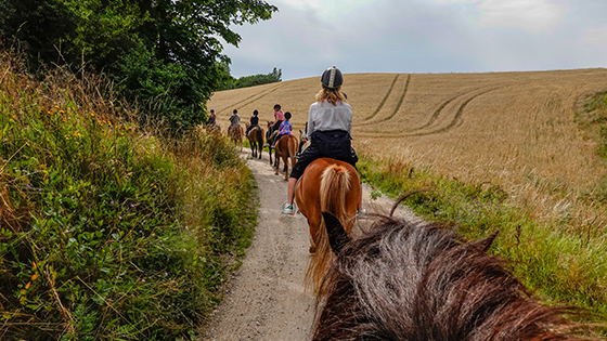 Bild zum Reiseangebot (2)
