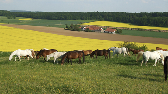 Bild zum Reiseangebot (3)