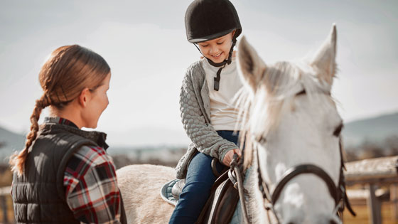 Bildmotiv: Sommer-Reitcamp in Hungen