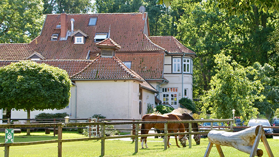 Bild zum Reiseangebot (3)