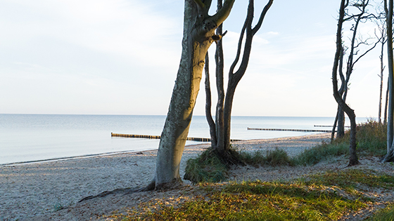 Bild zum Reiseangebot (4)