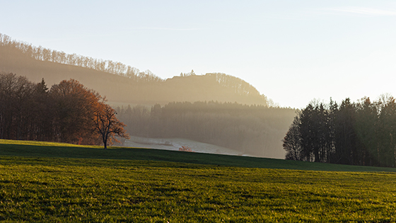 Bild zum Reiseangebot (5)
