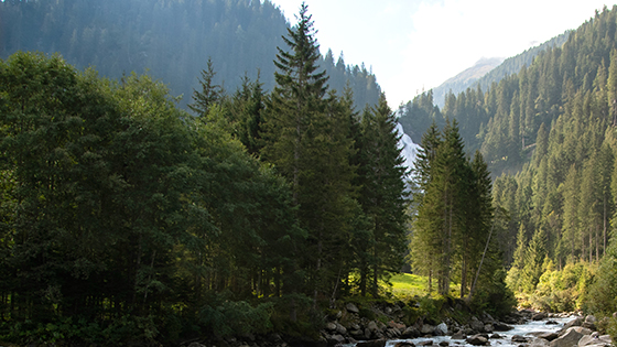 Bild zum Reiseangebot (1)