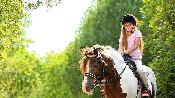 Bild zum Reiseangebot (3)