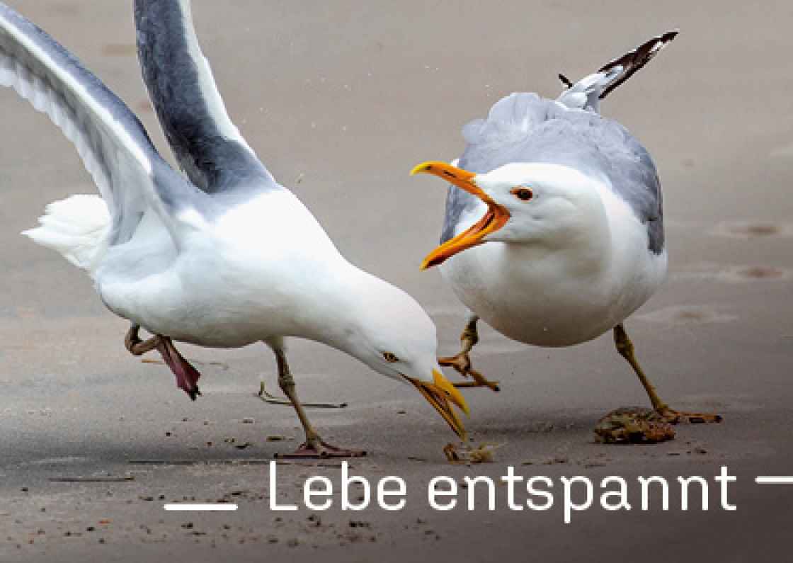 "Lebe entspannt"