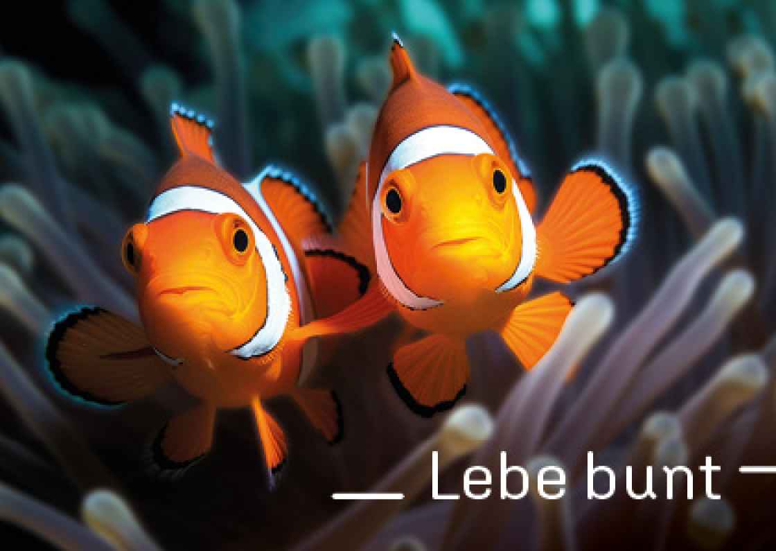 "Lebe bunt"