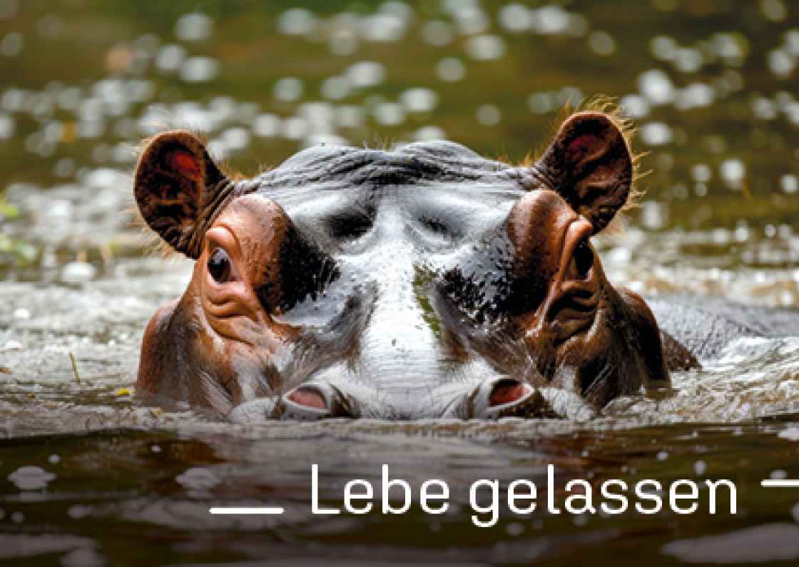 "Lebe gelassen"