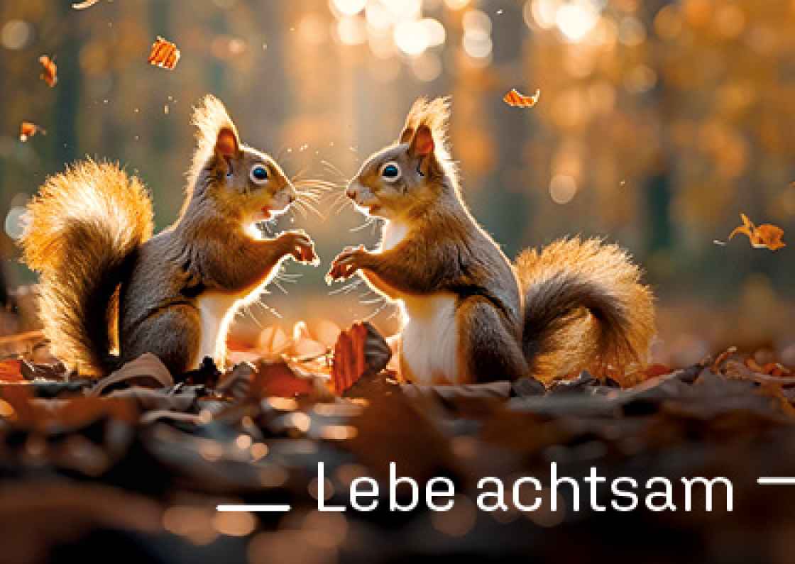 "Lebe achtsam"