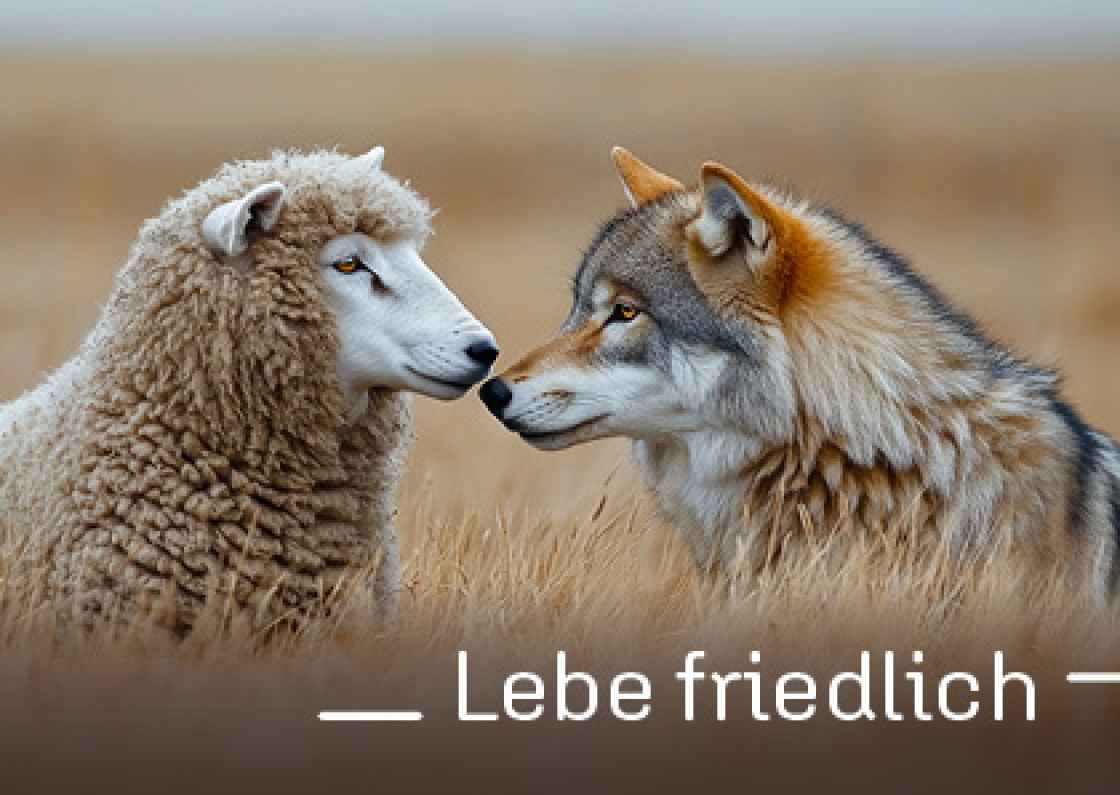 "Lebe friedlich"