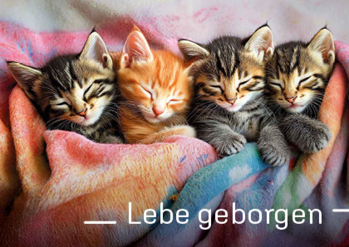 "Lebe geborgen"