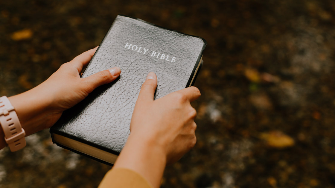 Vorschaubild: Die einhundert entscheidenden Bibeltexte