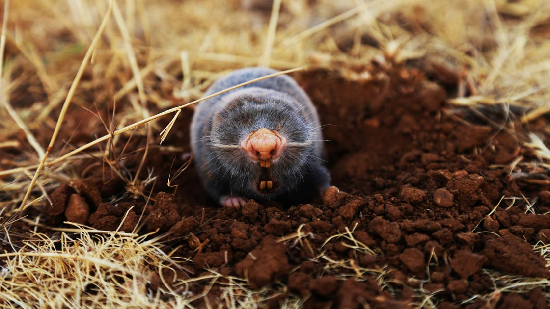 Vorschaubild: Das sollte uns zu denken geben