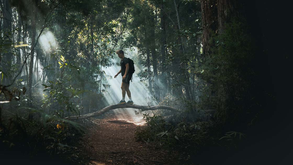 Vorschaubild: High Tech aus dem Wald