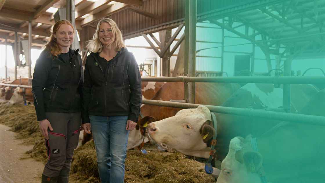 Vorschaubild: Alltag auf dem Bauernhof