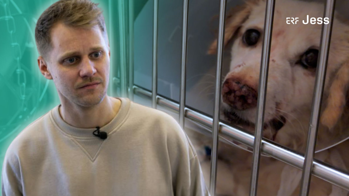 Vorschaubild: Letzte Rettung Tierarzt