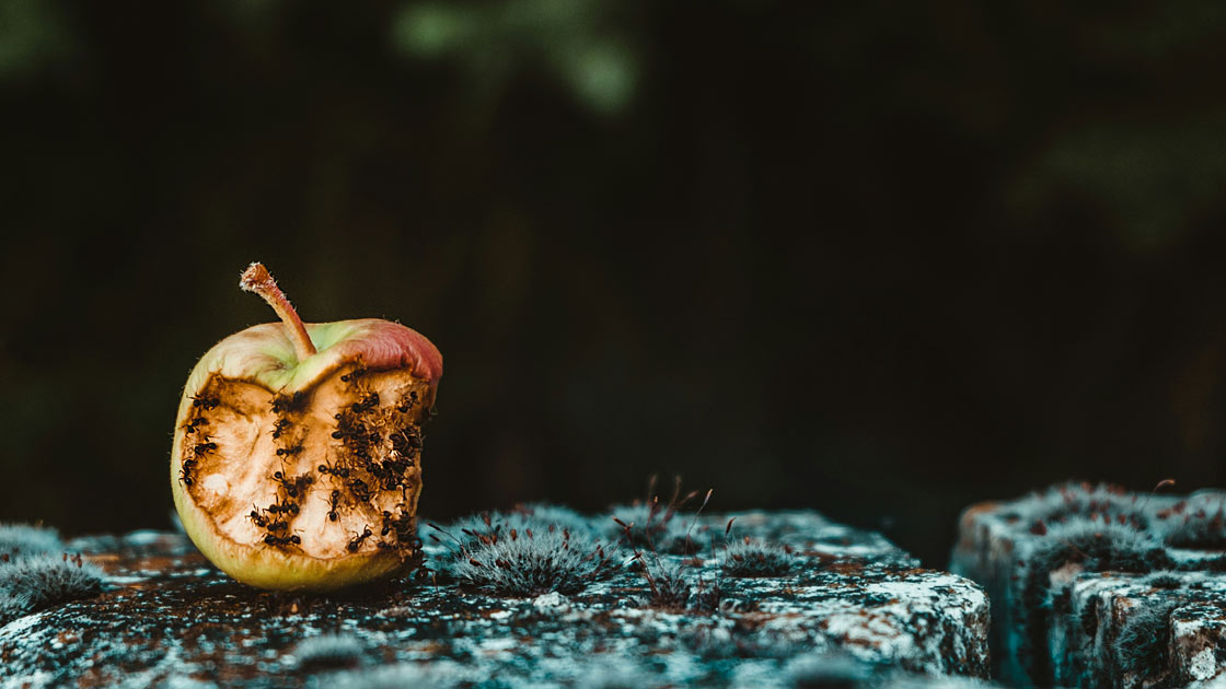 Vorschaubild: Enttäuscht