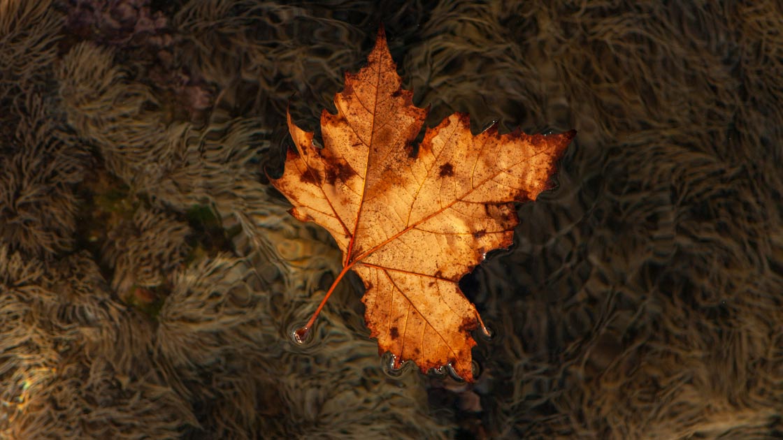 Vorschaubild: Wenn es Gott gibt