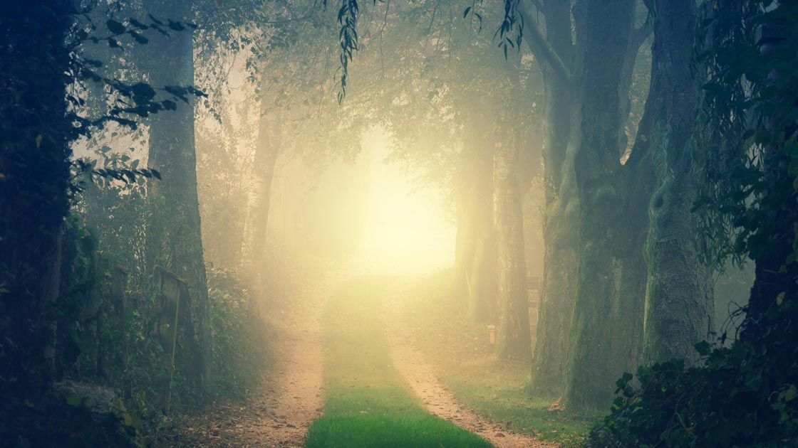 Vorschaubild: Enttäuschung & Erkenntnis