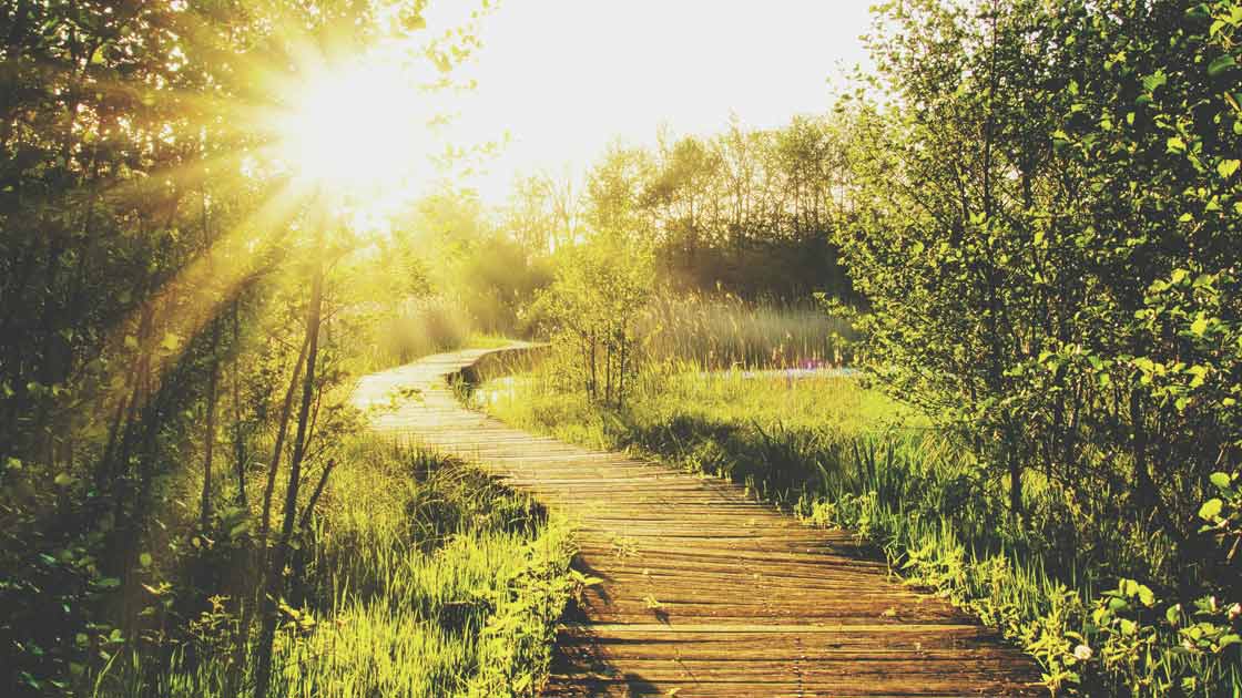 Vorschaubild: Gott in der Geschichte