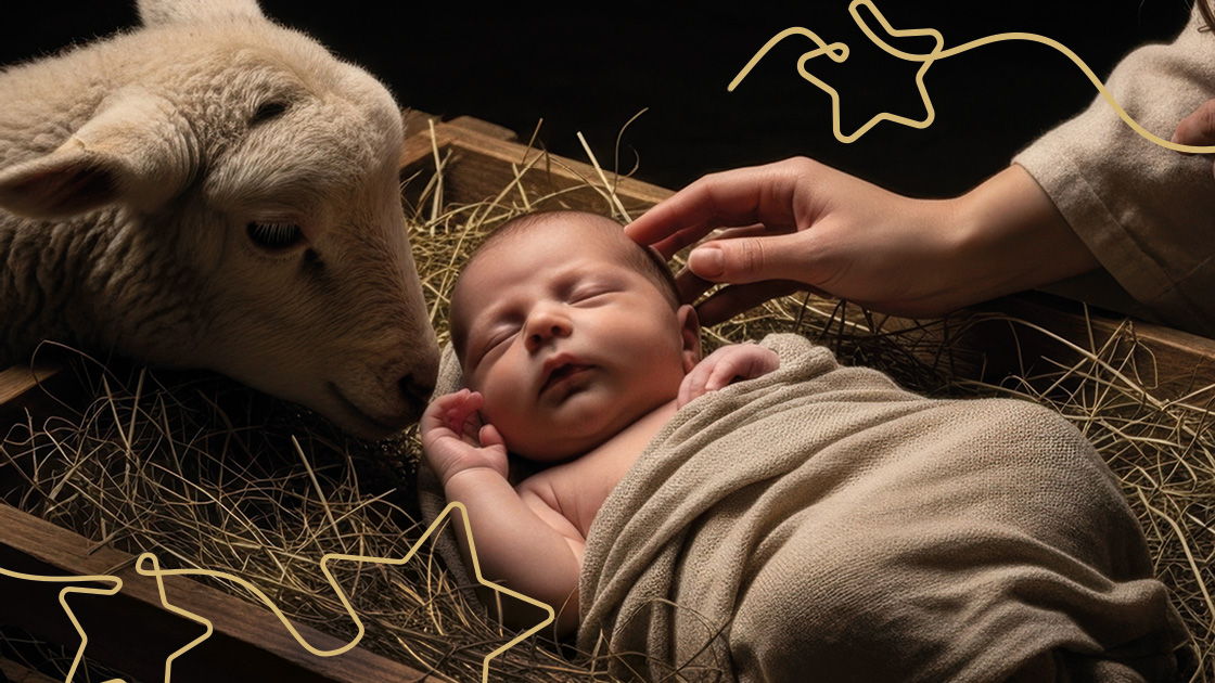 Vorschaubild: Die Hoffnungsgeschichte, die im Stall begann