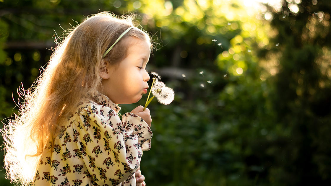 Vorschaubild: Sind wir hier bei „Wünsch dir was“?