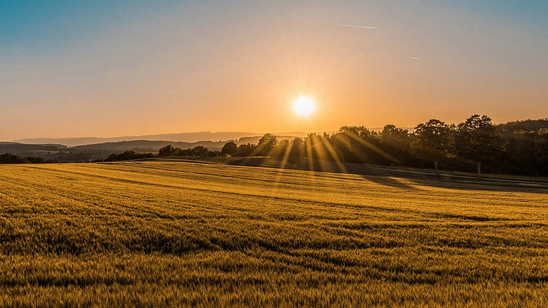 Vorschaubild: Morgenstund‘ hat Gold im Mund