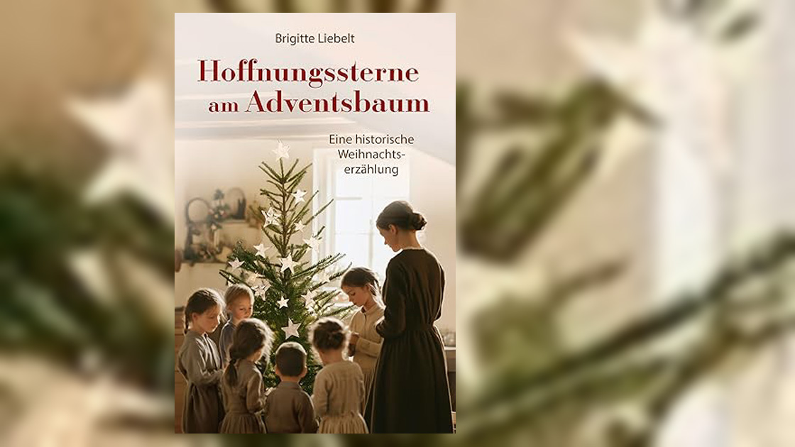 Vorschaubild: Brigitte Liebelt: Hoffnungssterne am Adventsbaum