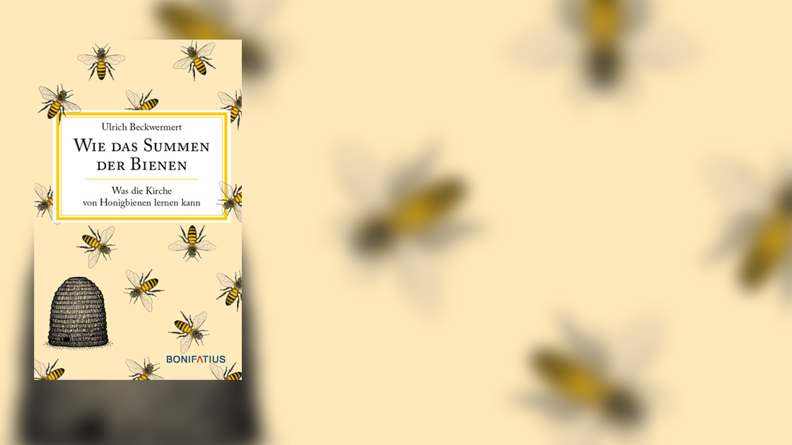 Vorschaubild: Wie das Summen der Bienen