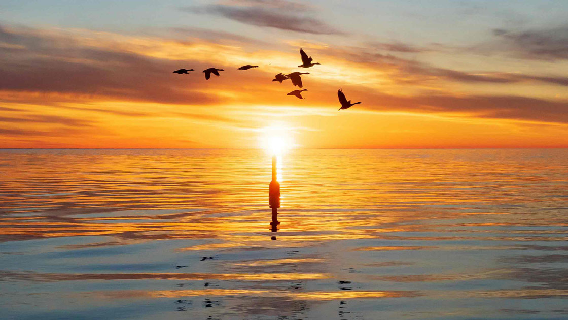 Vorschaubild: Im höchsten Maß (4/8)