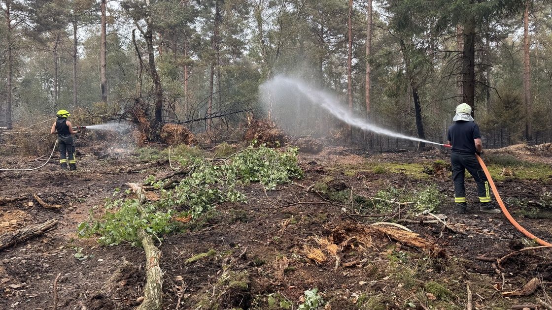 Vorschaubild: Rückkehr nach Brand im Hürtgenwald