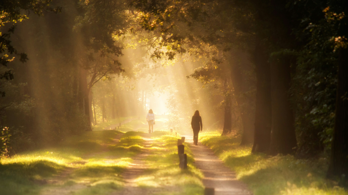 Vorschaubild: Wachsen in Christus – Impulse aus dem Epheserbrief (2/4)