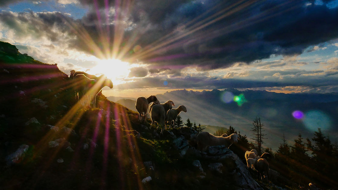 Vorschaubild: Verheißungsvoll leben (2/3)