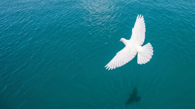 Vorschaubild der Sendung