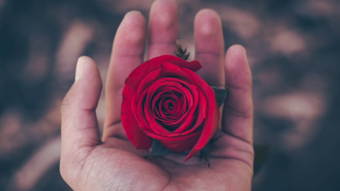 Vorschaubild: Bedingungslose Liebe