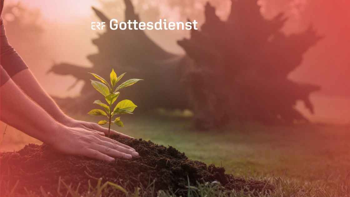 Vorschaubild: Wenn du keine Hoffnung mehr hast