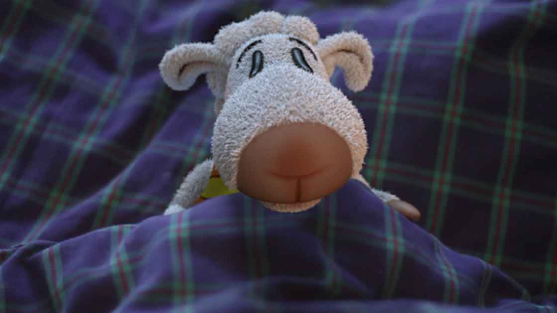 Vorschaubild: Der Weg in die Freiheit