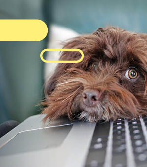 Newsletter - Teaser - Bild