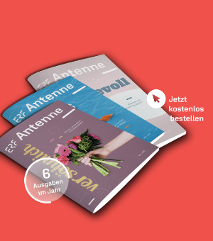 Newsletter - Teaser - Bild