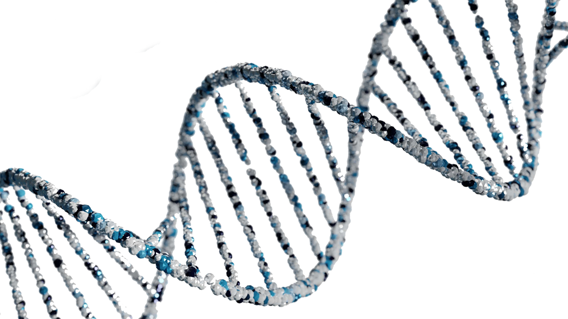 DNA-Struktur (© ashraful islam / unsplash.com)