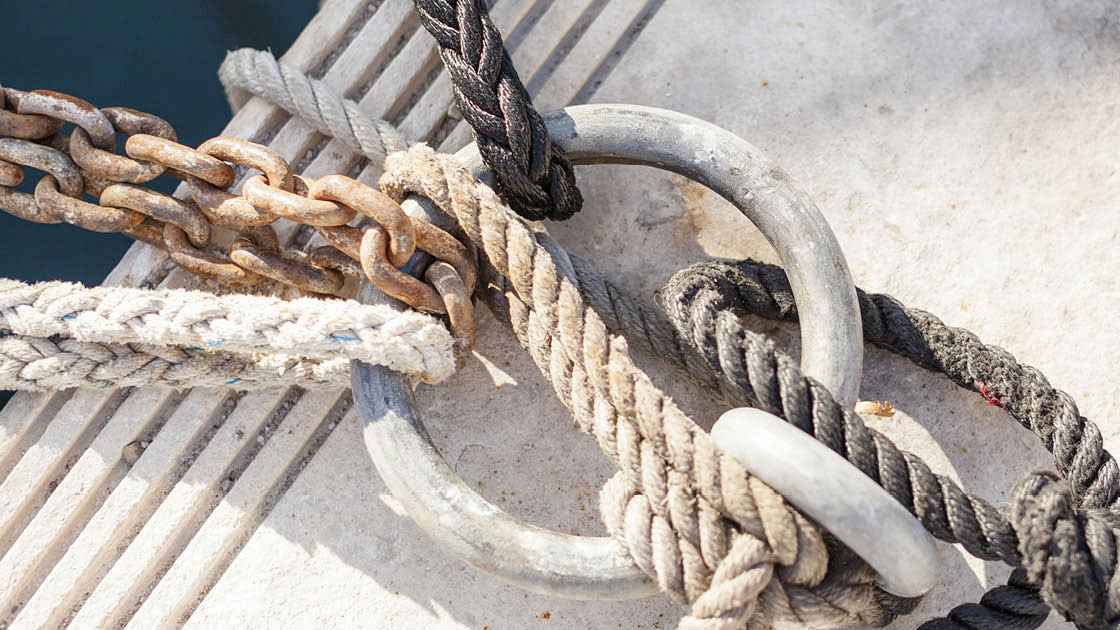 Bild Beim Wort genommen