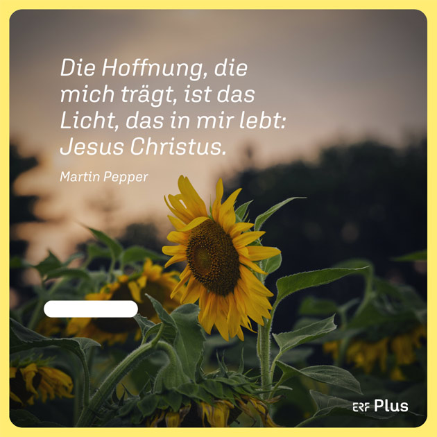 Community SoMe-Grafik ERF Plus