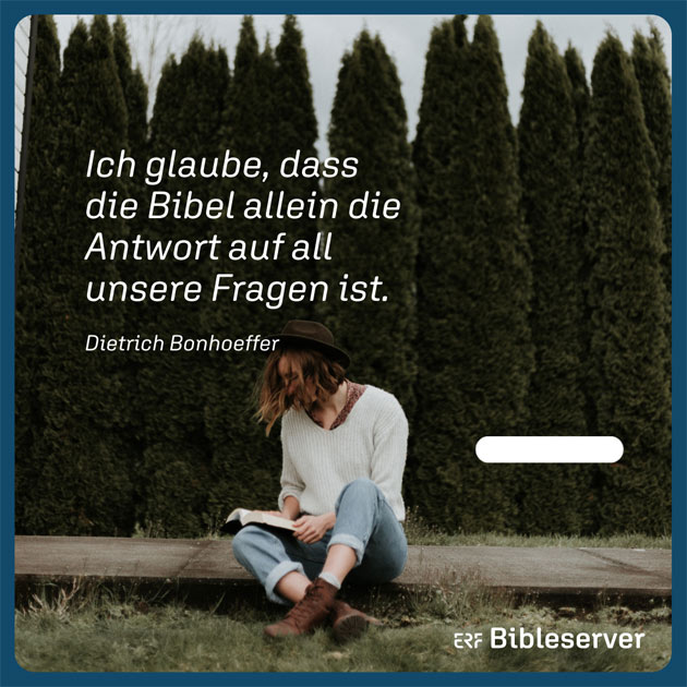 Community SoMe-Grafik ERF Bibleserver