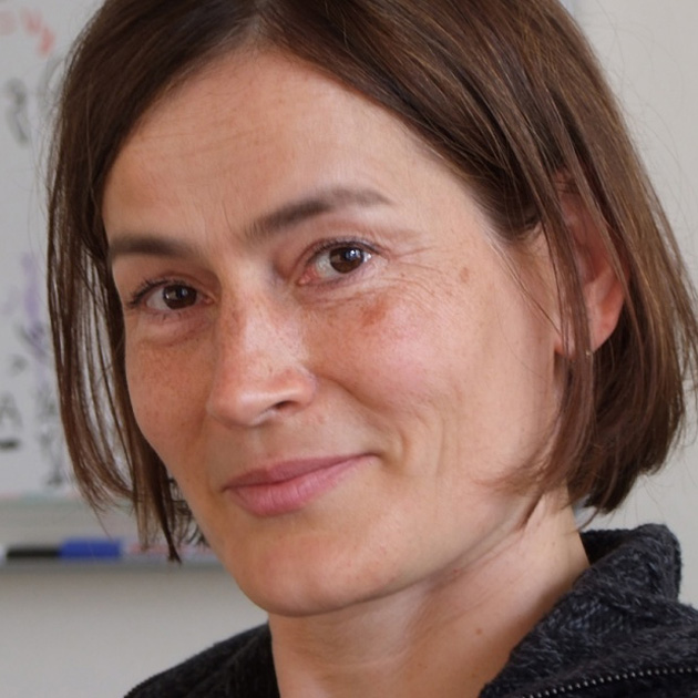 Physikprofessorin Barbara Drossel (Foto: Ulrich Pontes)