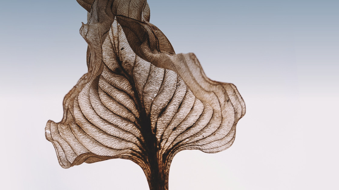 Vorschaubild: Endlichkeit