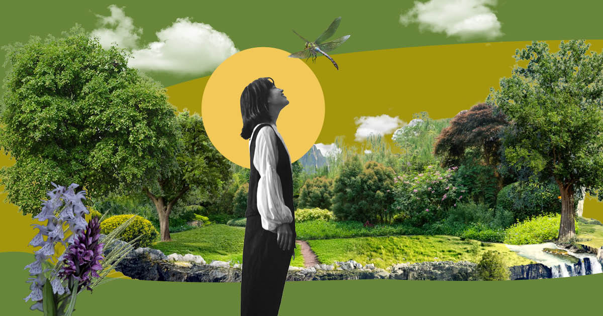 Vorschaubild: Schöpfung