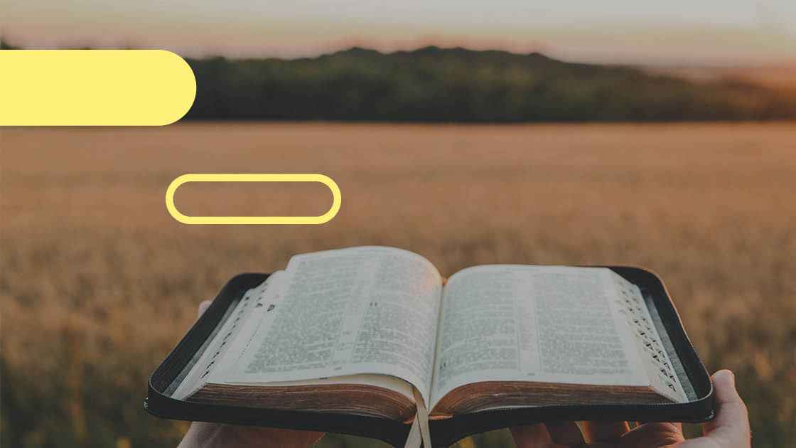 Bild Durch die Bibel