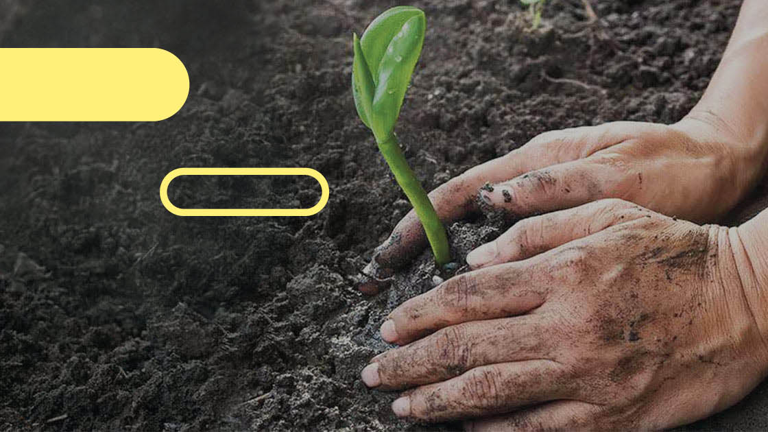 Vorschaubild: Und plötzlich ist alles wieder vorbei …