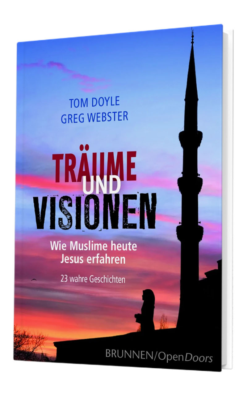 Tom Doyle, Greg Webster, Träume und Vidionen, 2013 (Brunnen)